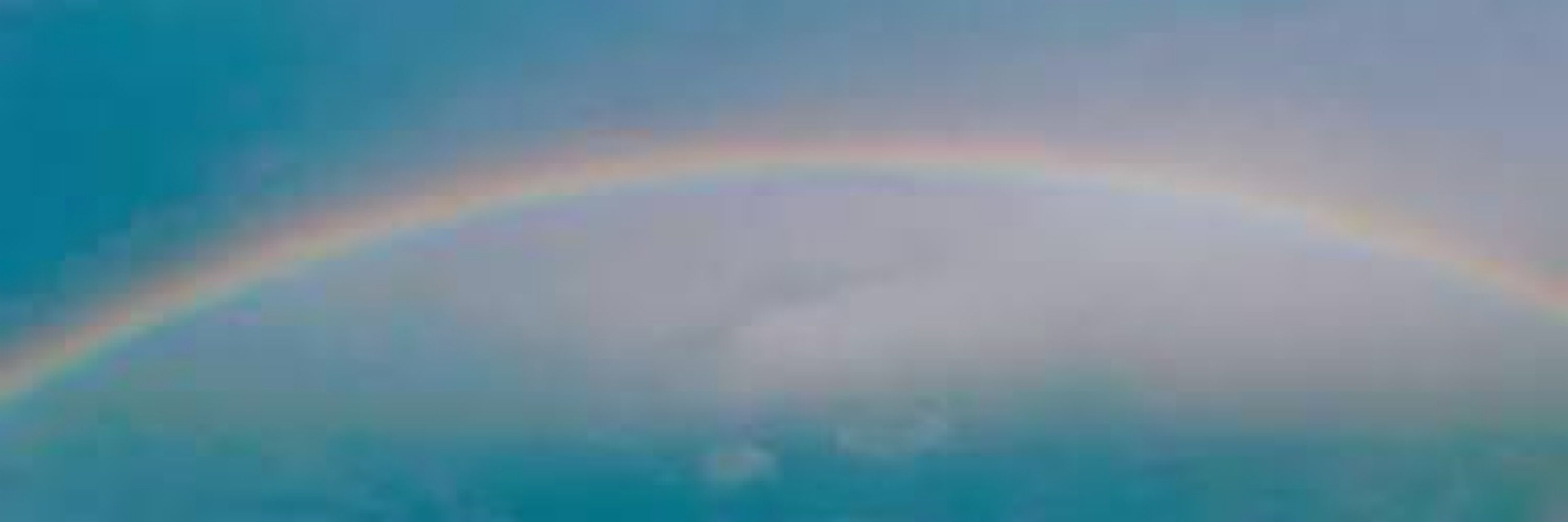 🌈虹丼🌈