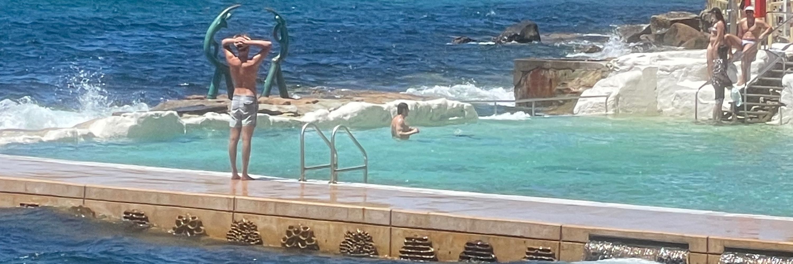 BearSydney25