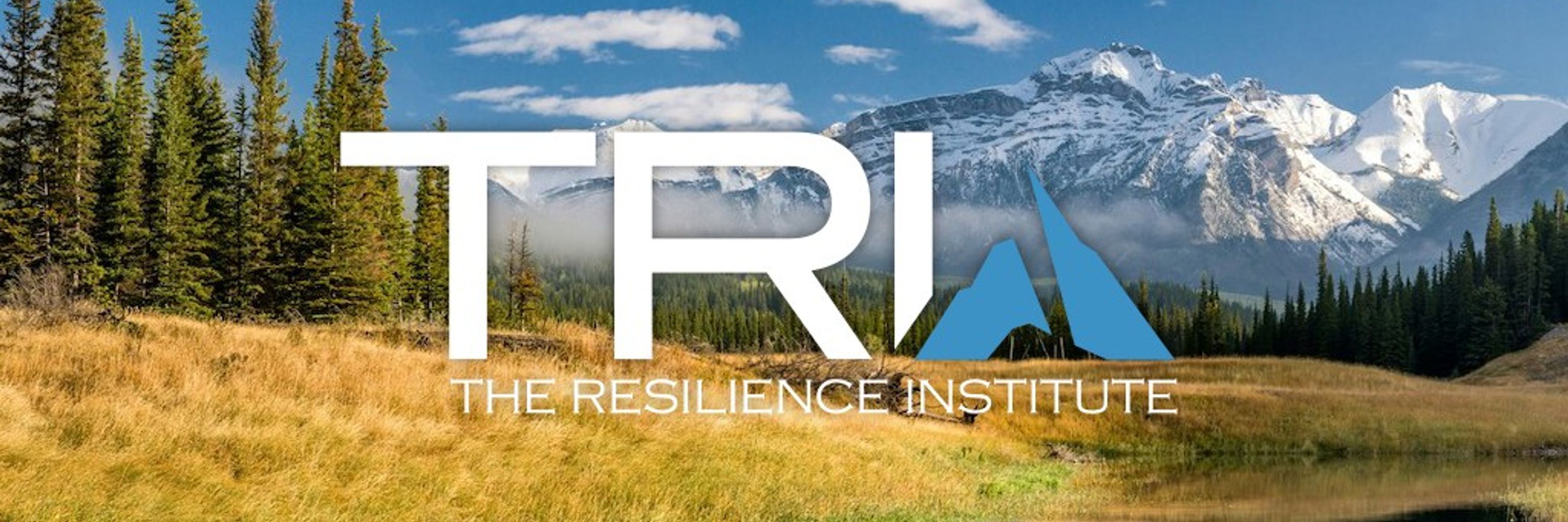 The Resilience Institute