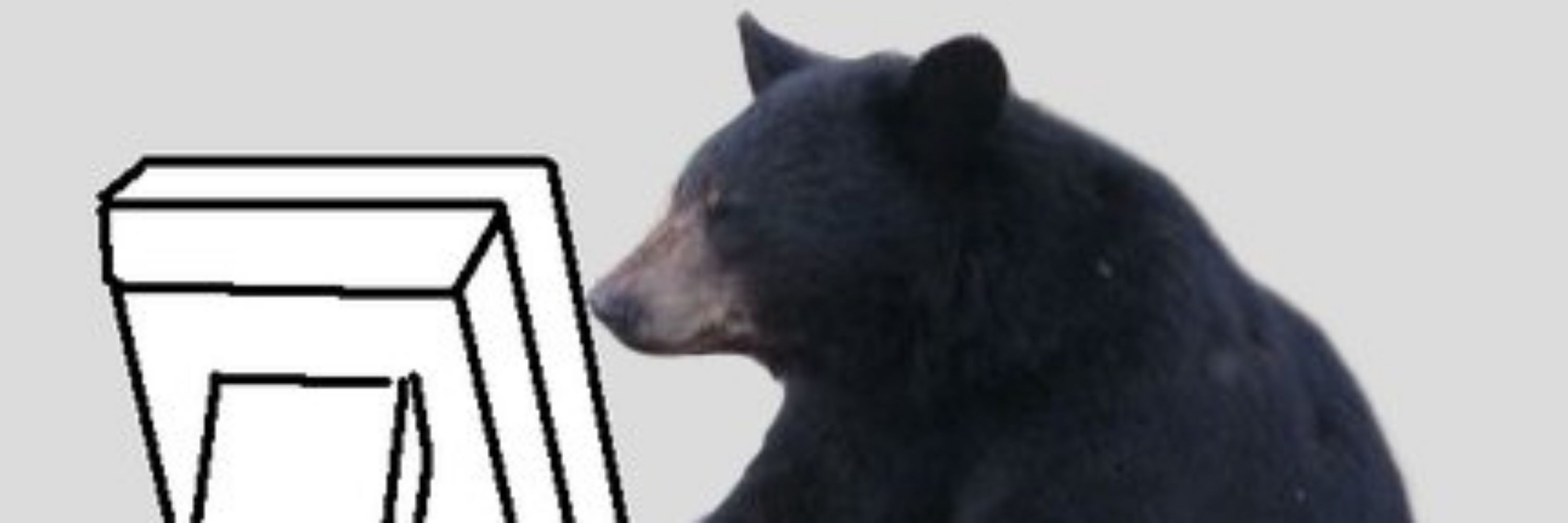 DARKBEAR 🐻💀