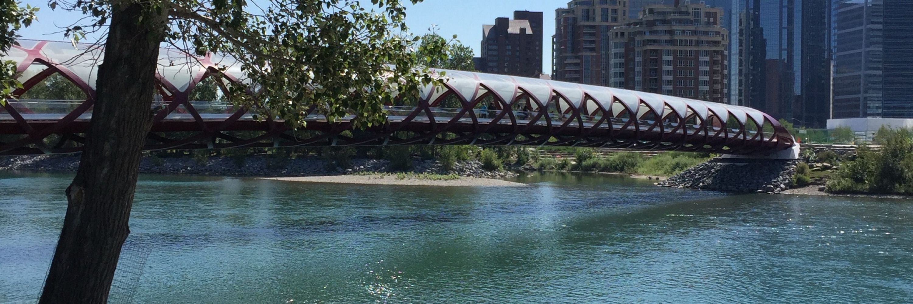 Susan in Calgary