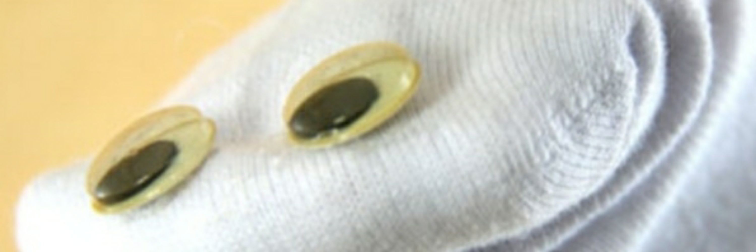 Sox the Sock