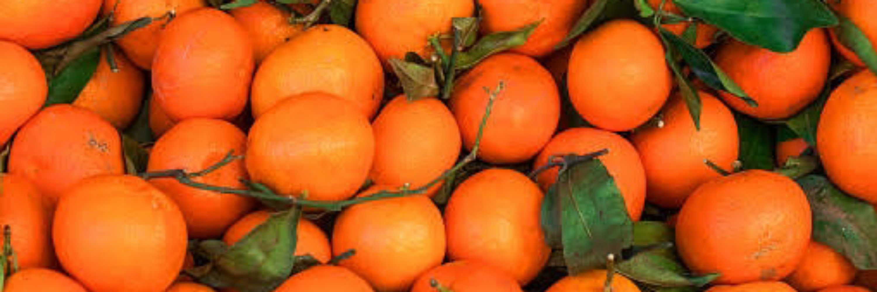 🍊