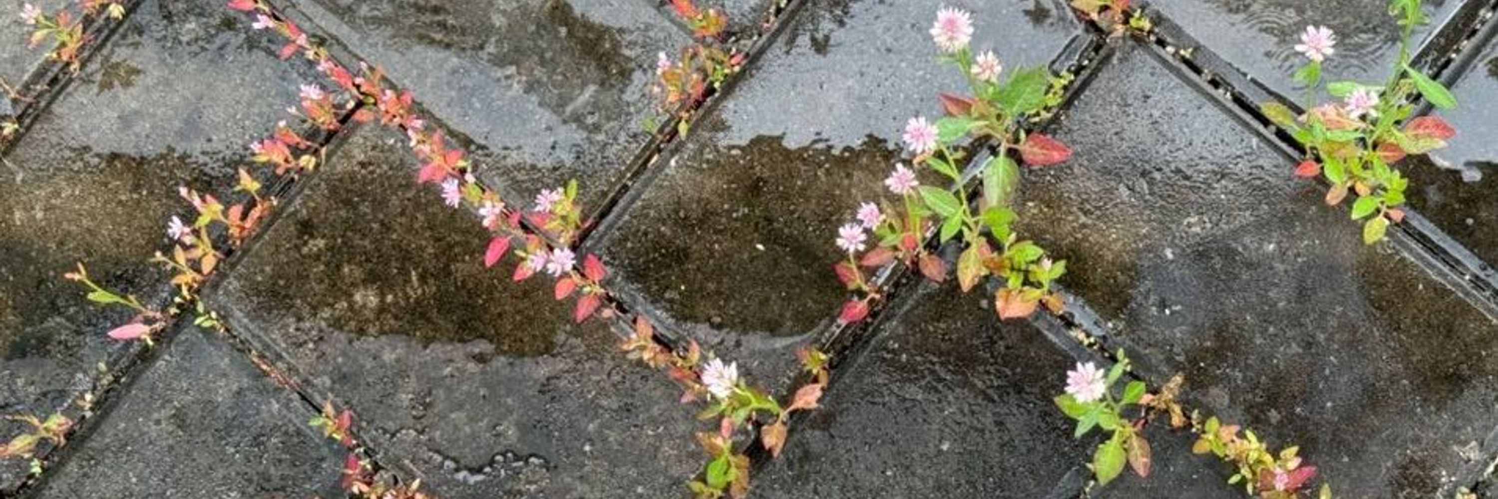 a ♡