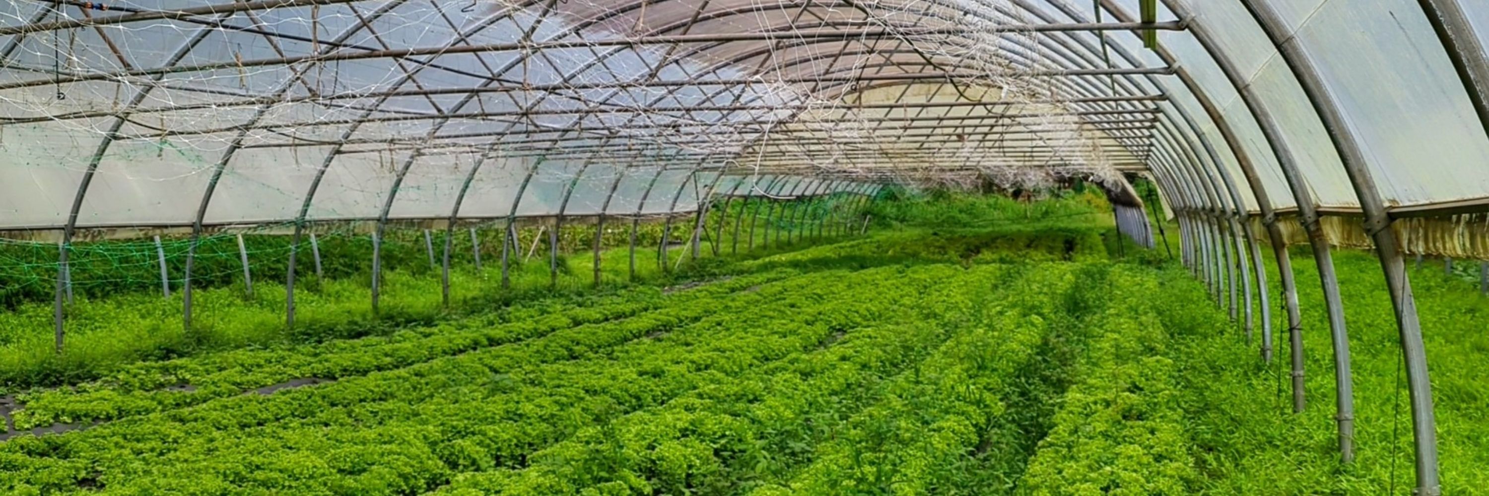 Ferme en agroécologie