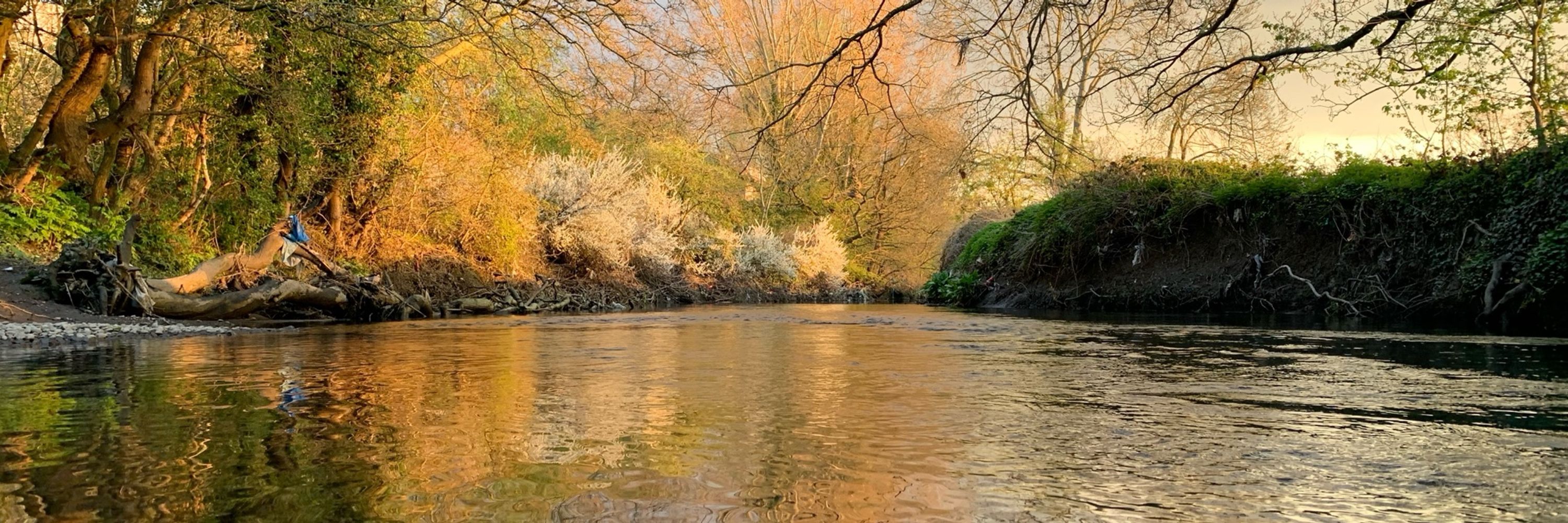 The River Brent