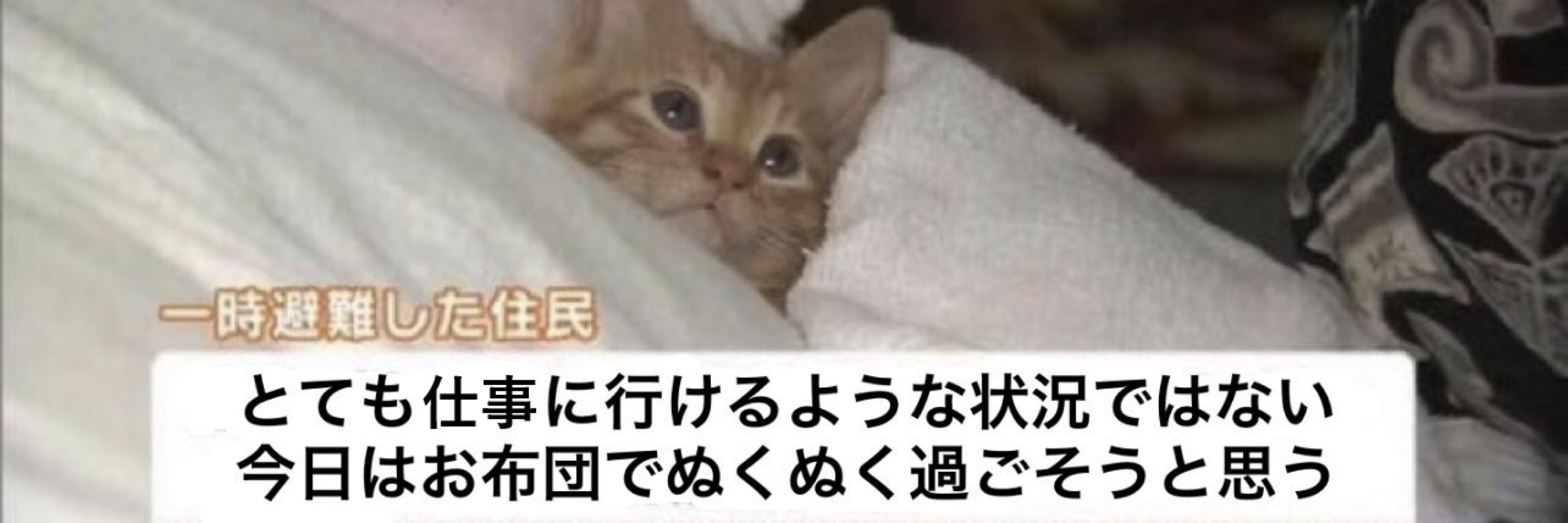タニシゲさん