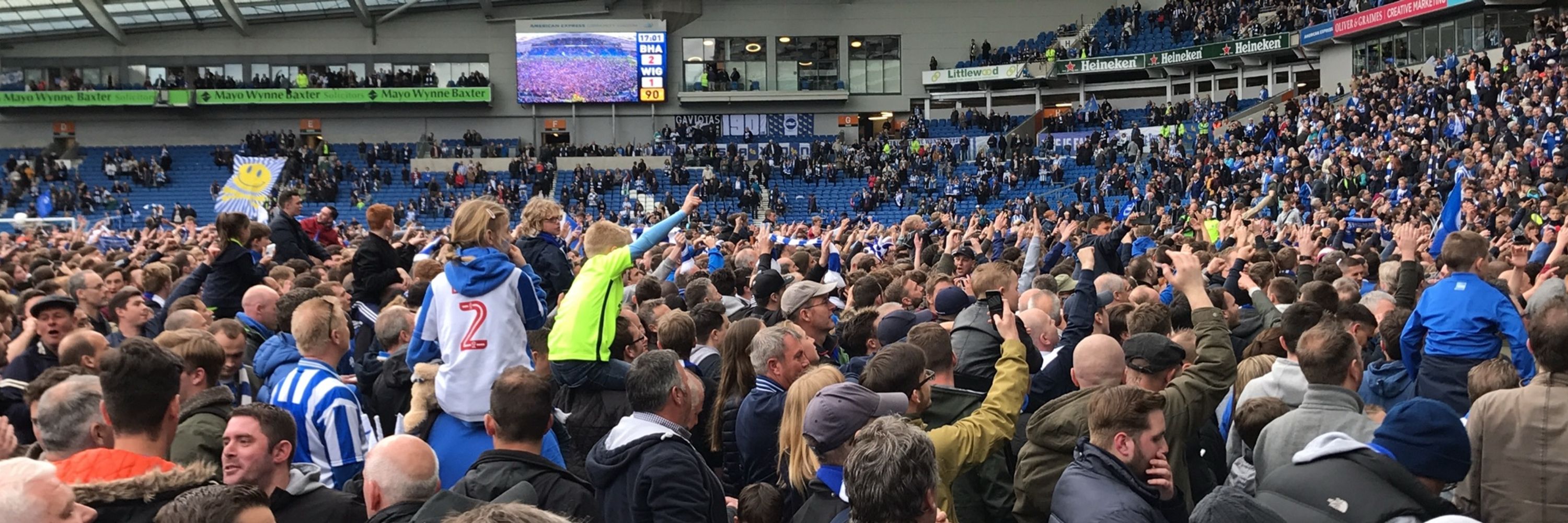 North Stand Gull