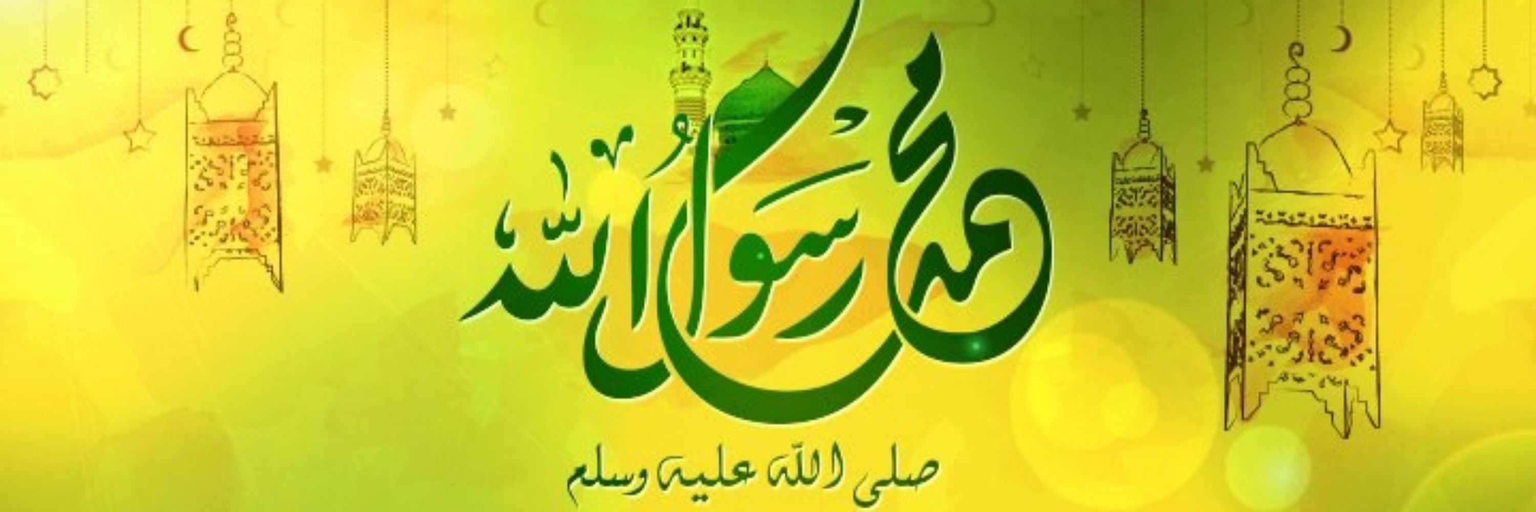 Yasir Bin Zahid Rahman