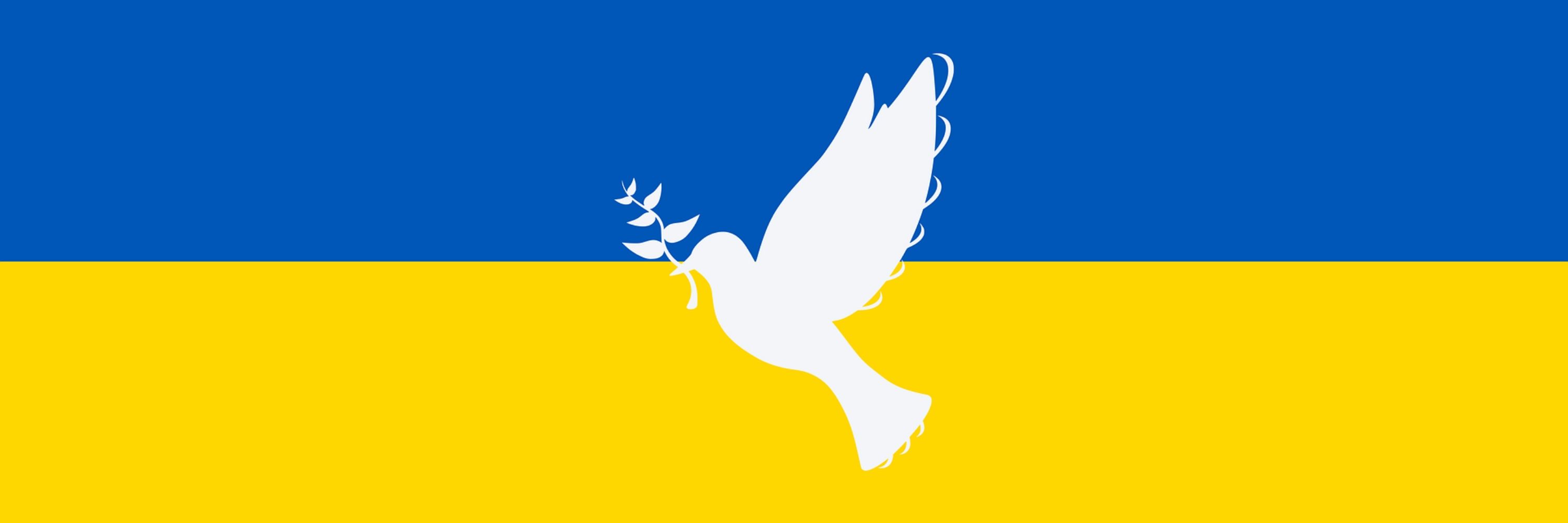 Defend and Resist  🇩🇪🇺🇦