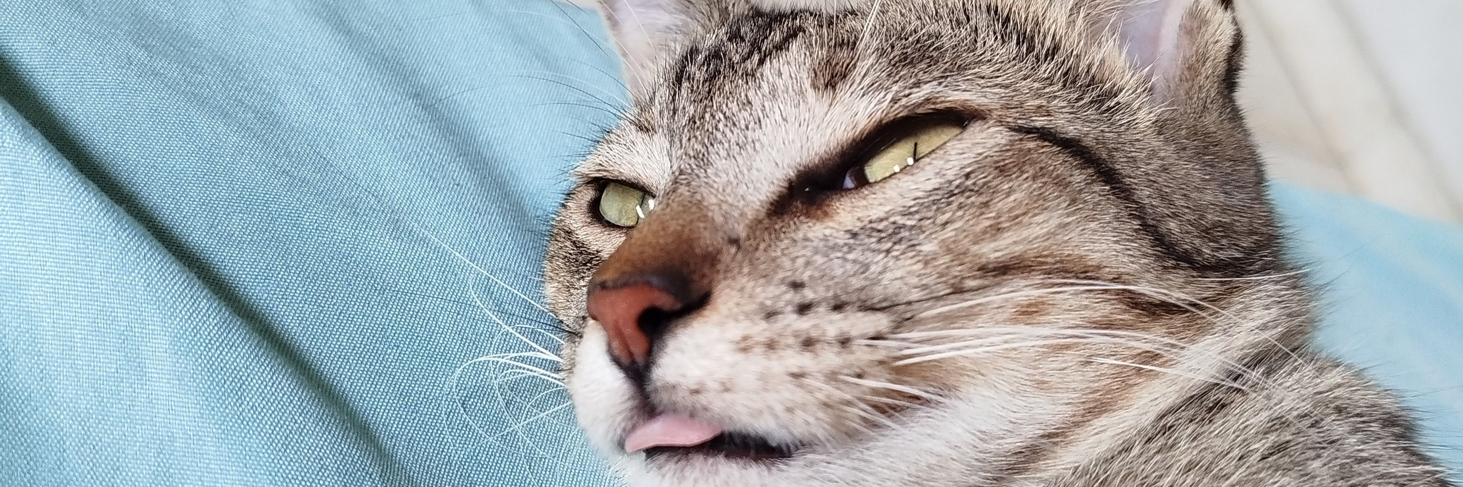 Mique