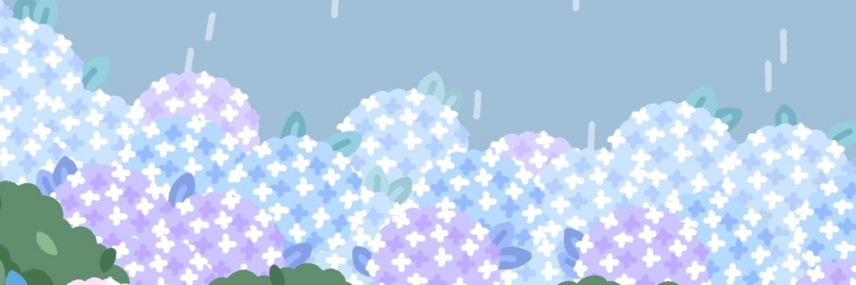 청귤
