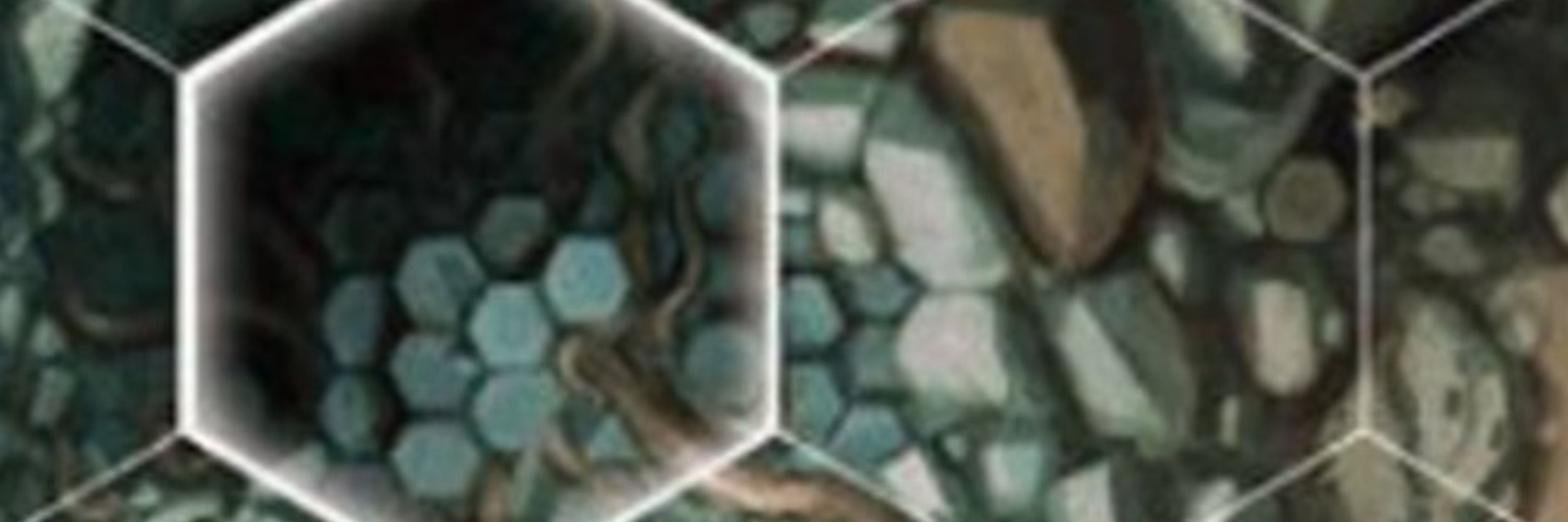 What the Hex Podcast
