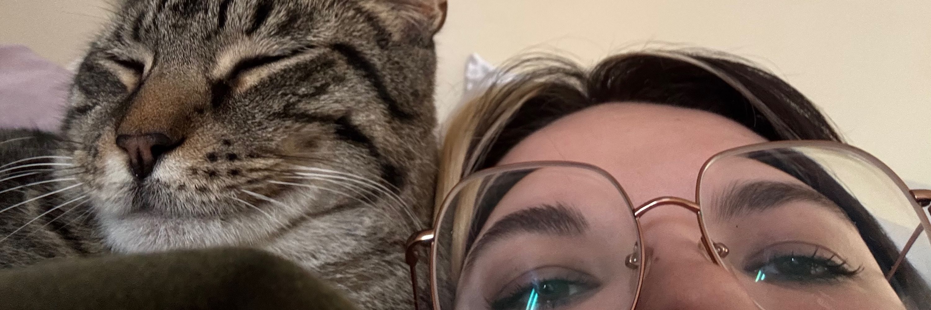 abbi