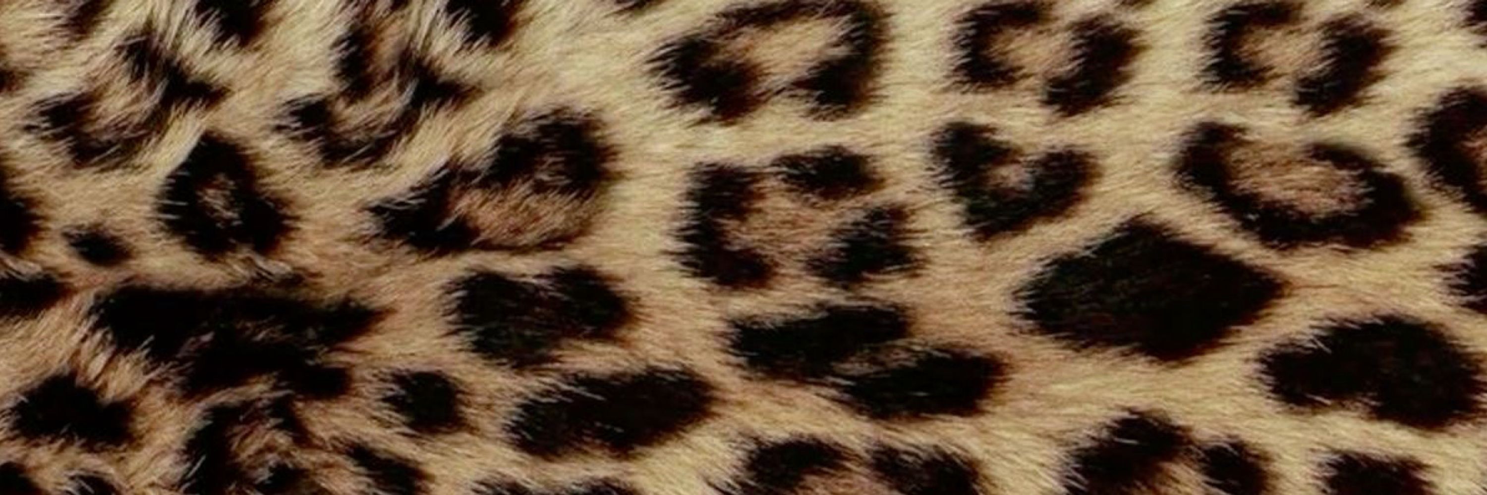 𝐲𝐚𝐬𝐦𝐢 ᥫ᭡.