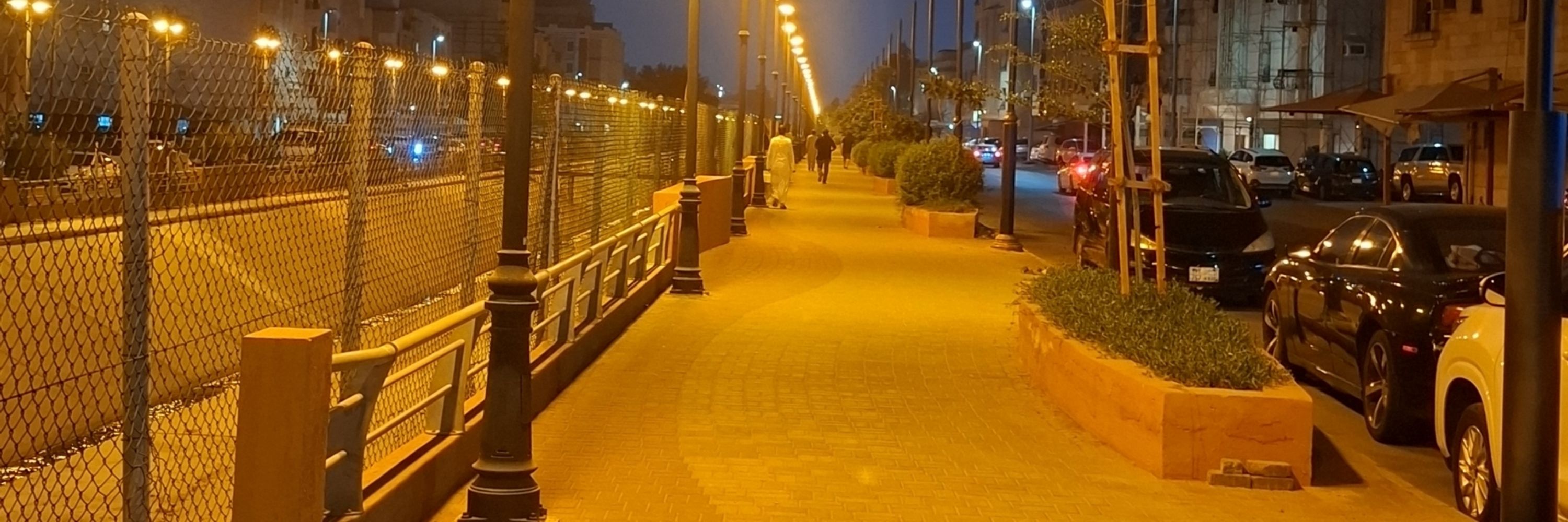 Asghar Zaman
