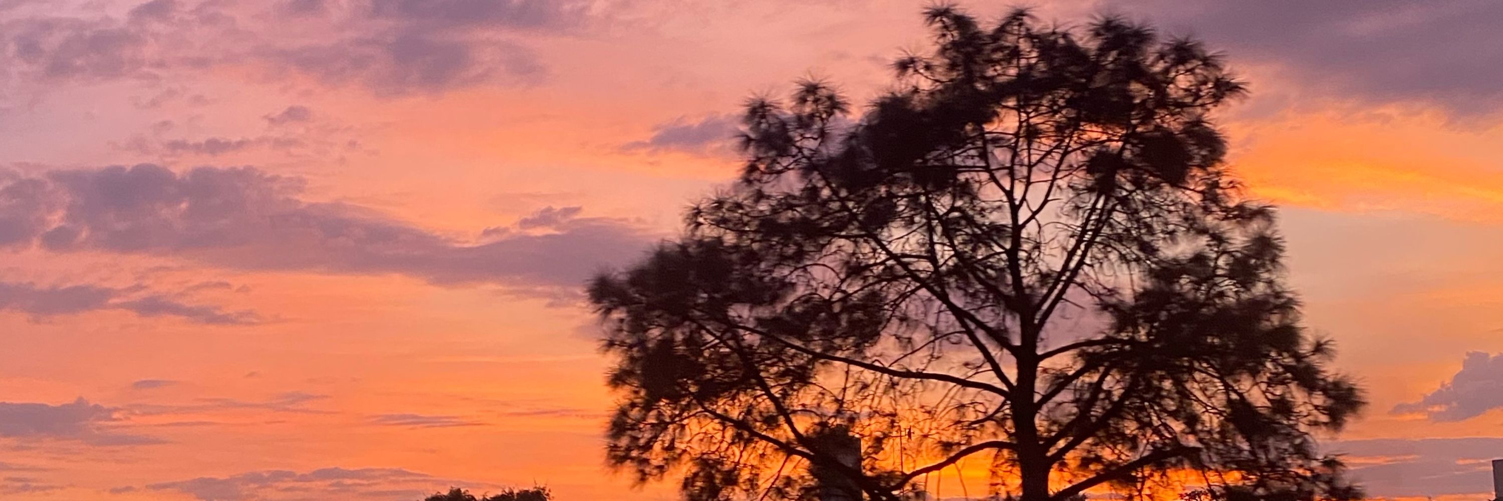 𝑴𝒂𝒏𝒖 💕