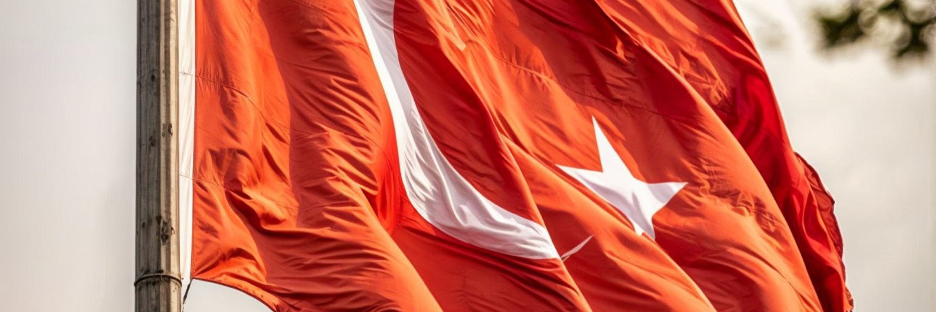 Ali Saraç