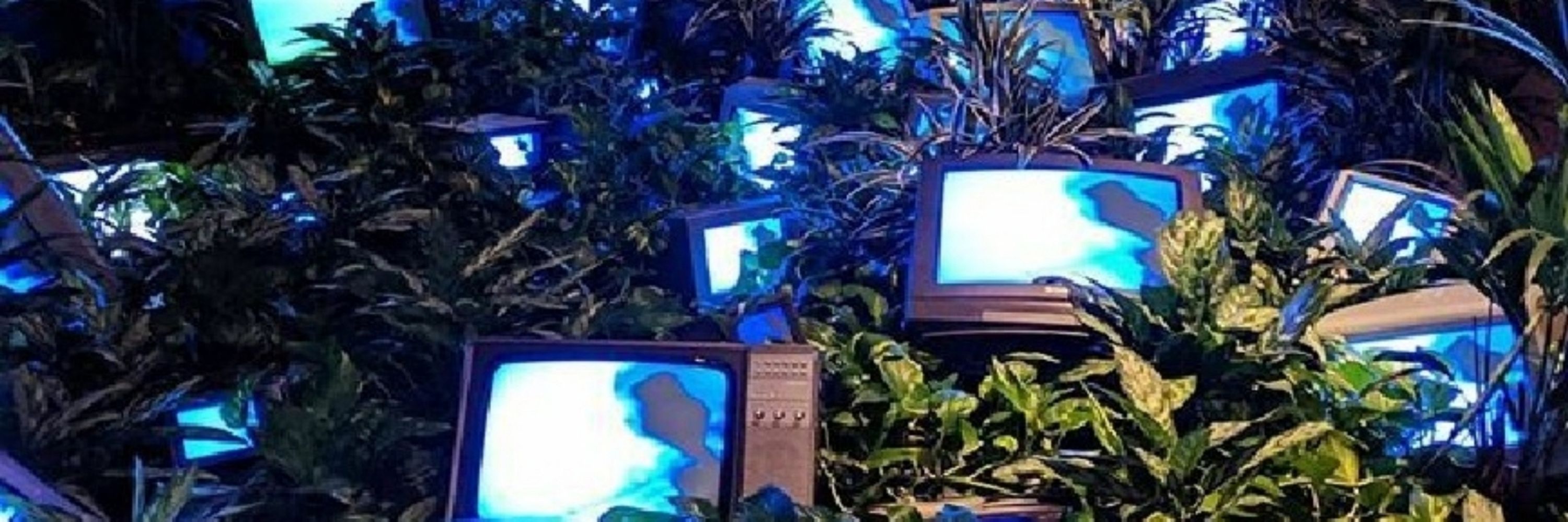 𐌐Ꝋ𐌋𐌙𐌁𐌉𐌵𐌔