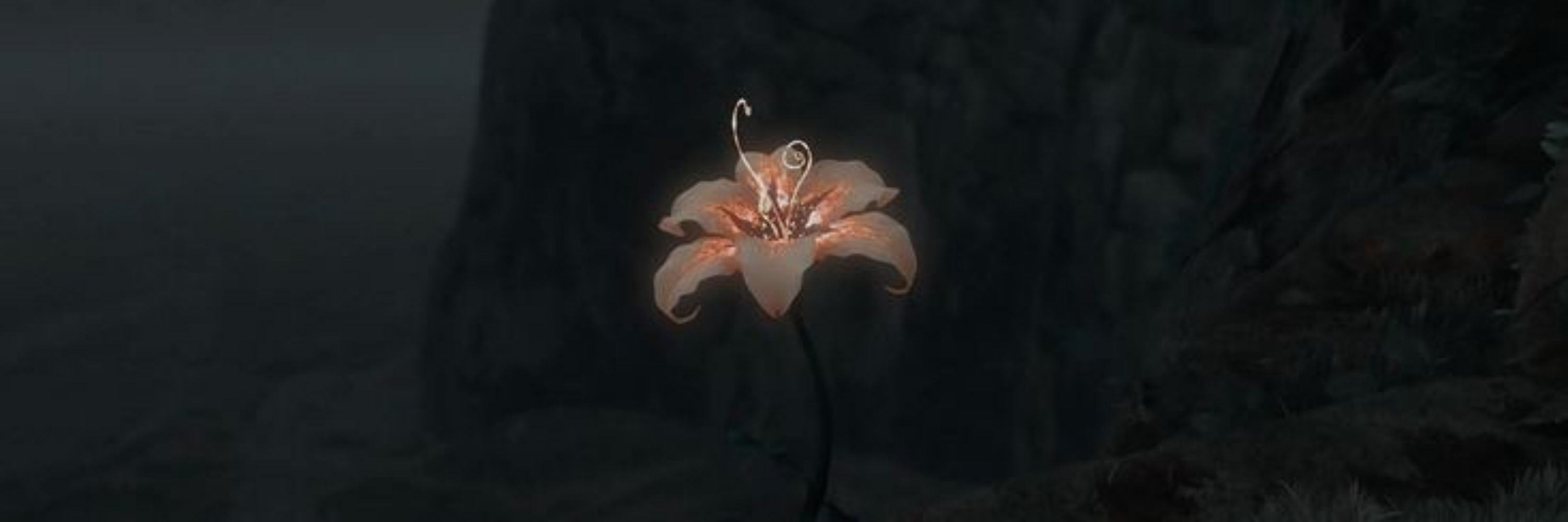 anne ୨ৎ