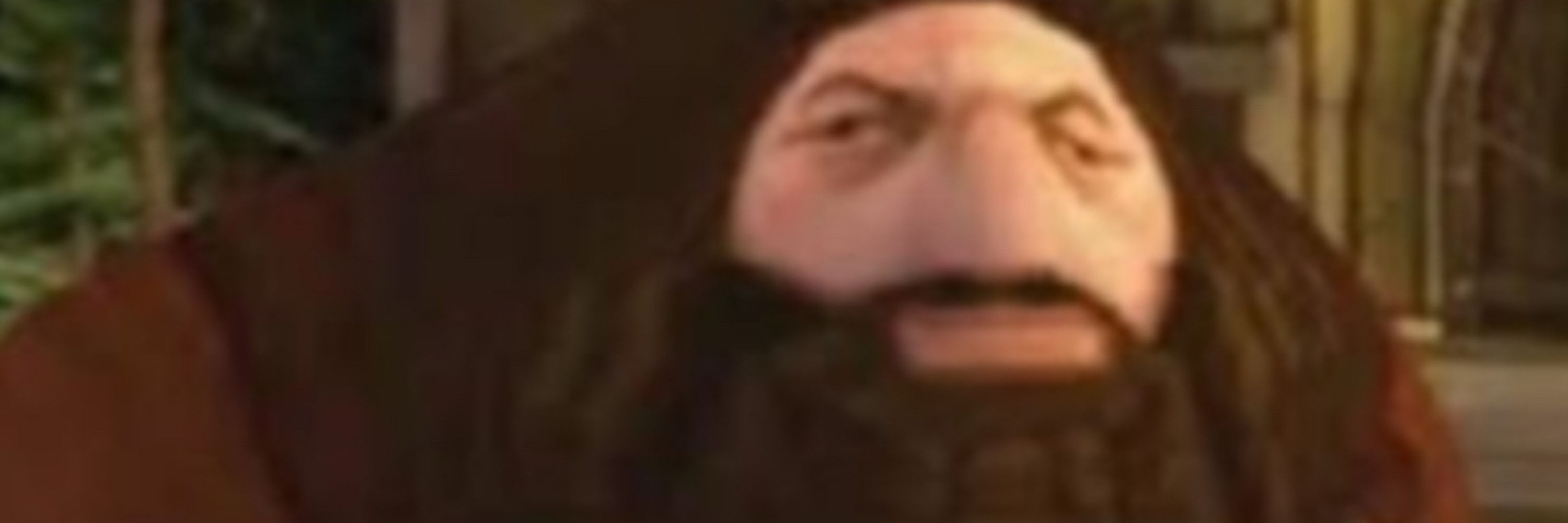 PS1 Hagrid