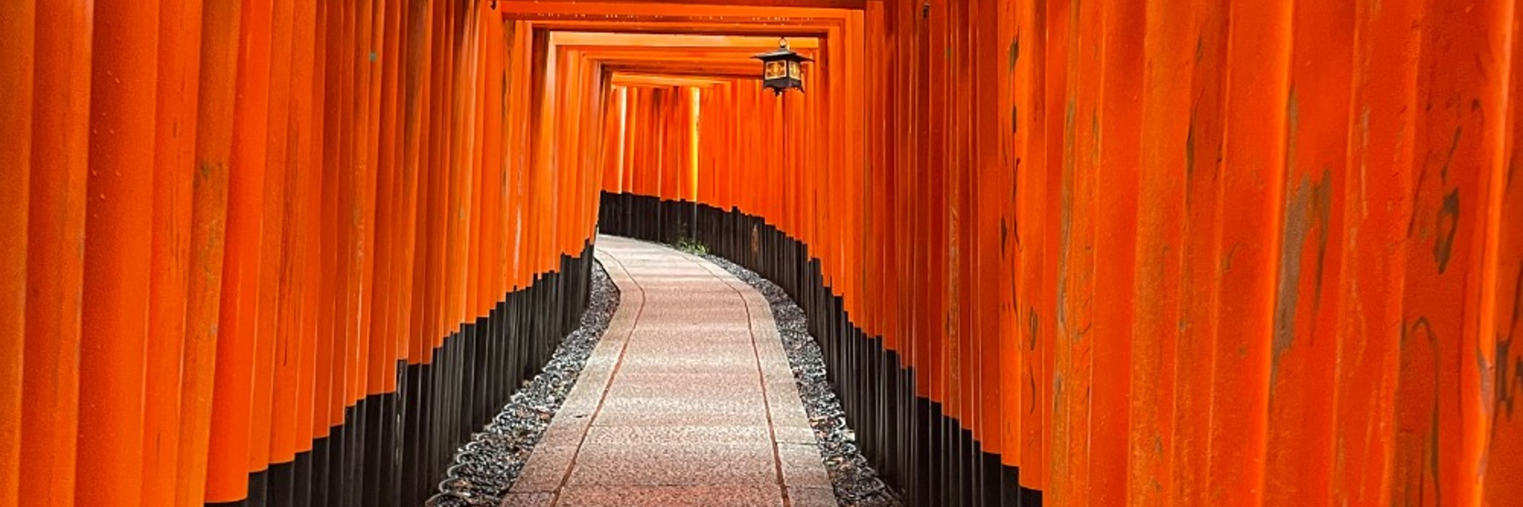 つづき