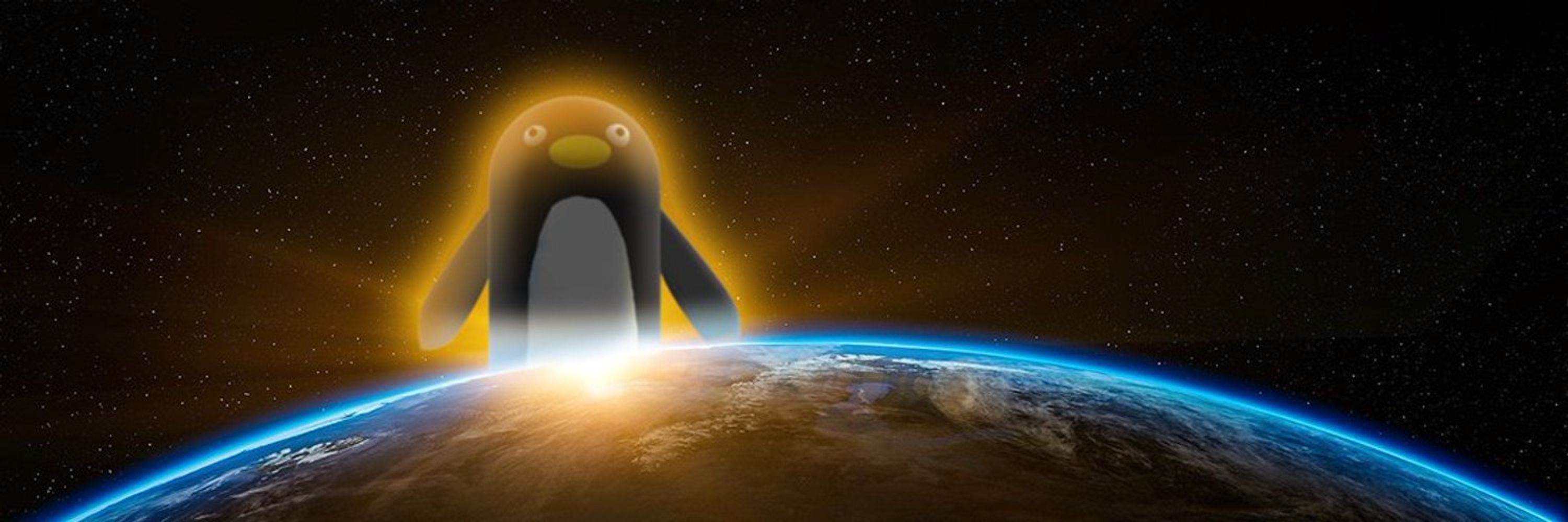 🐧