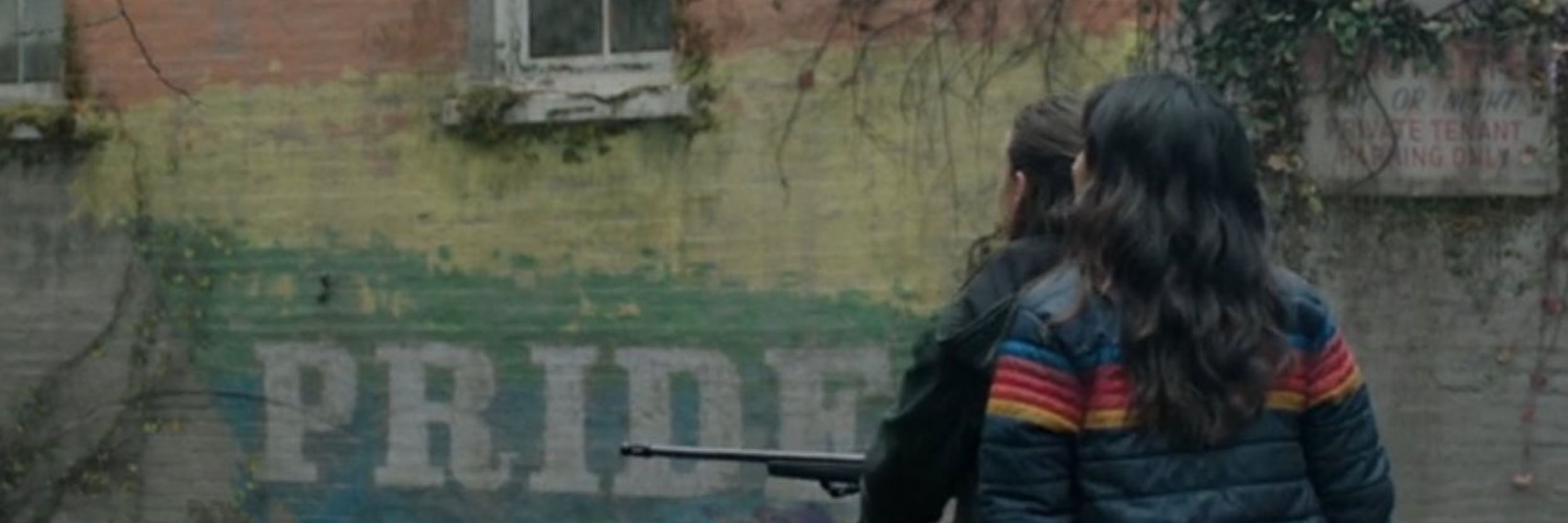 wer. 📚 nós lgbt povo otimista 