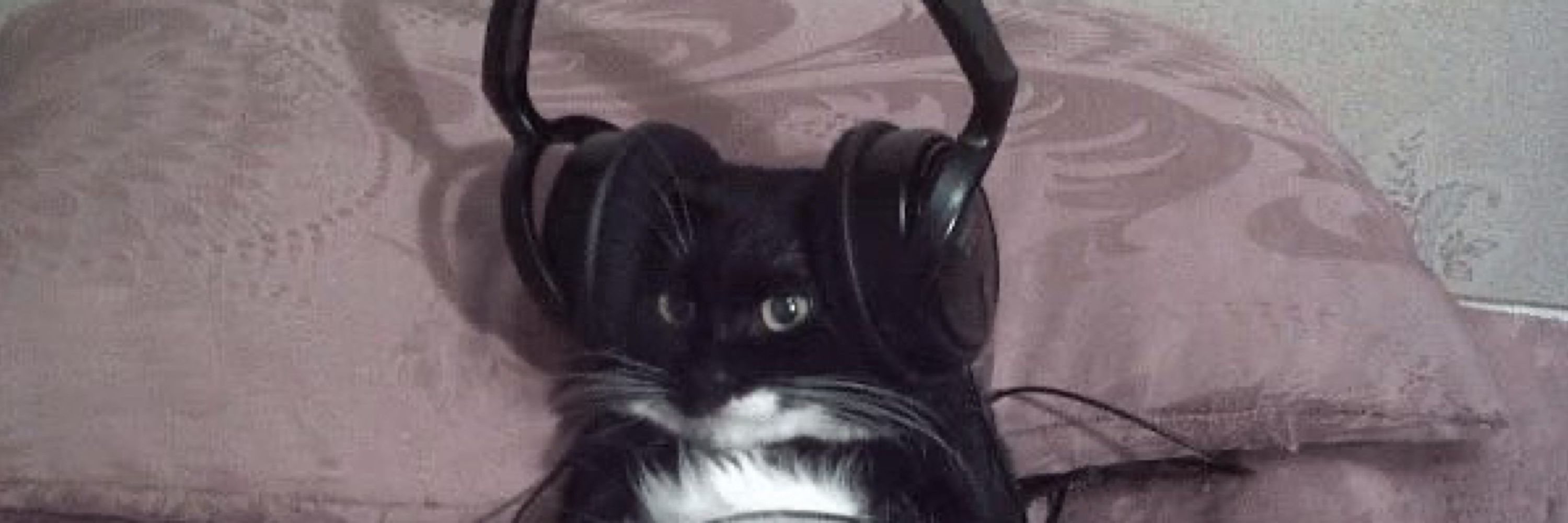 mae