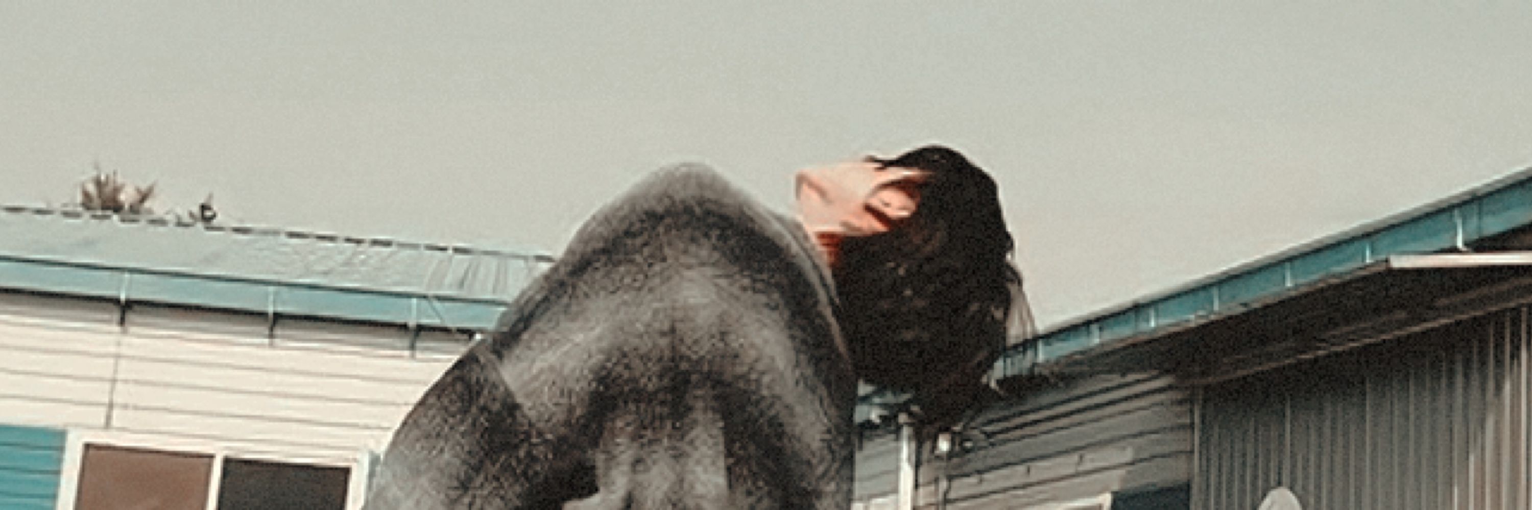 Kuro