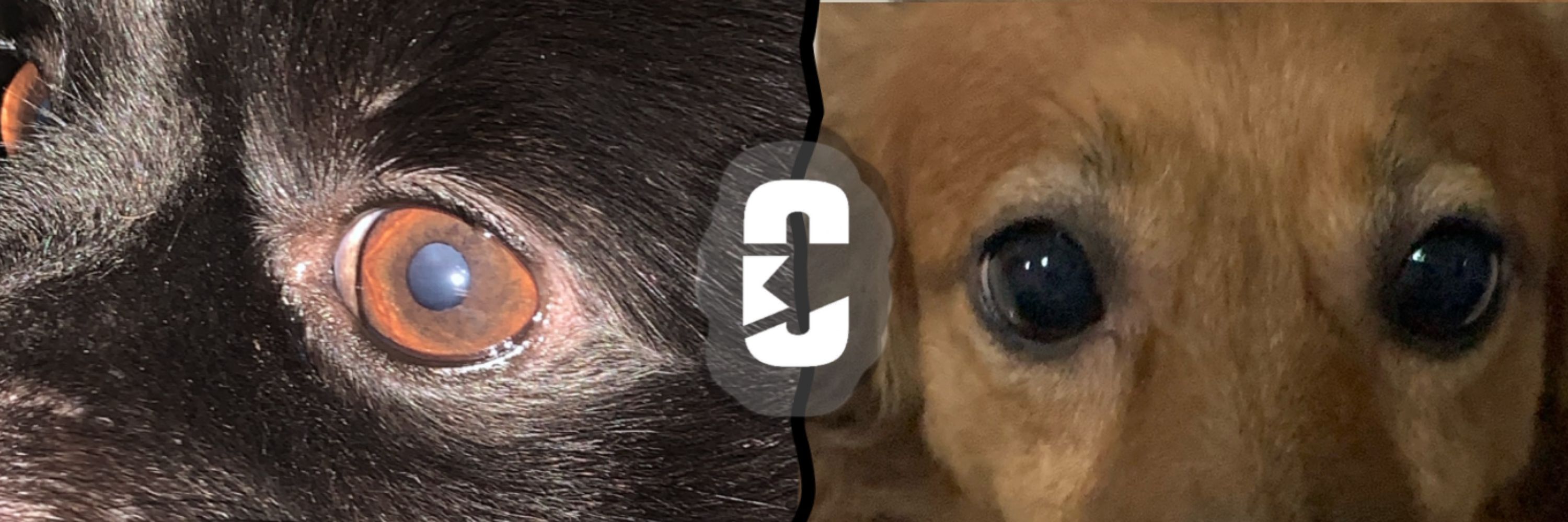 Malu | 👁️