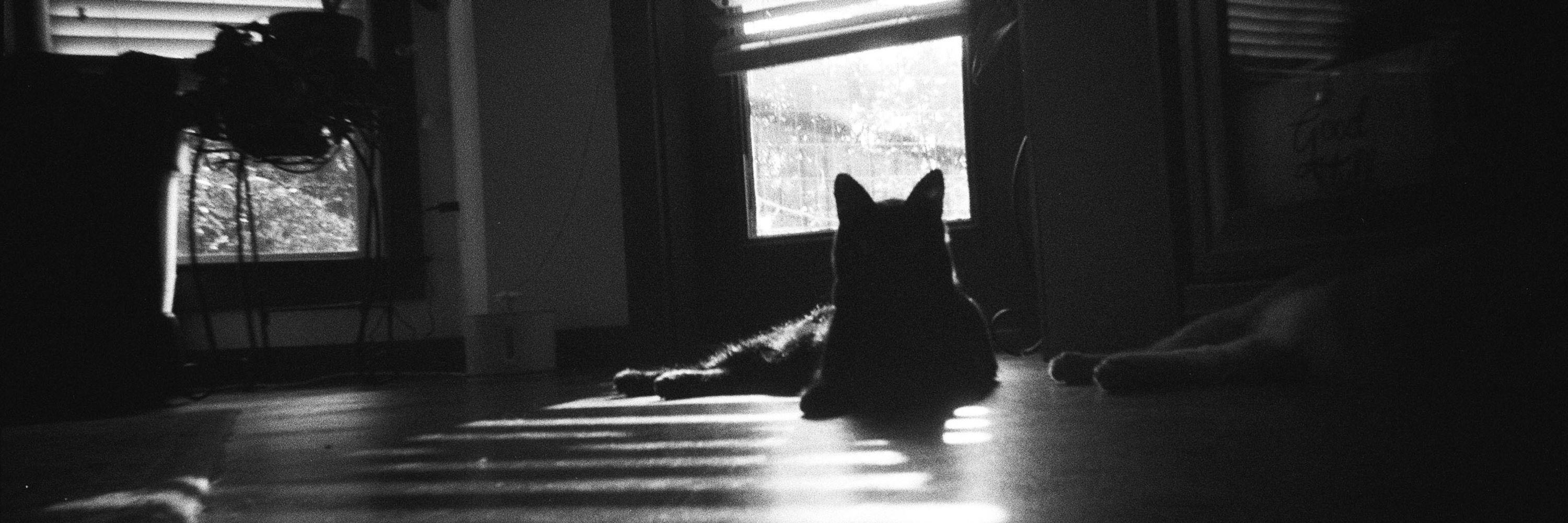 Noah Isherwood