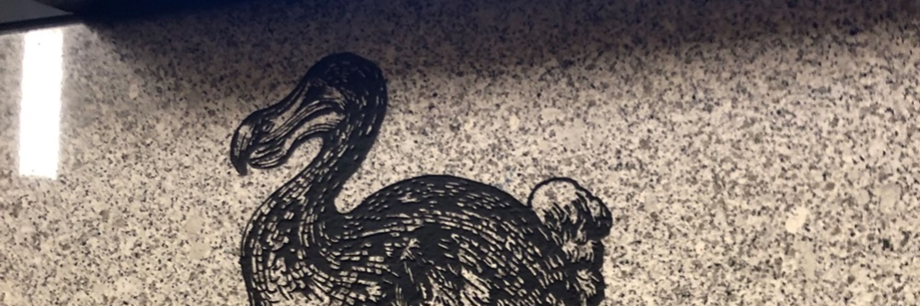 Orion the Dodo