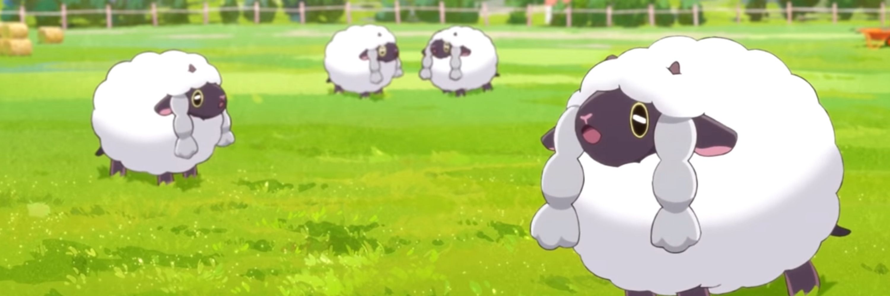 Cyn 🐏