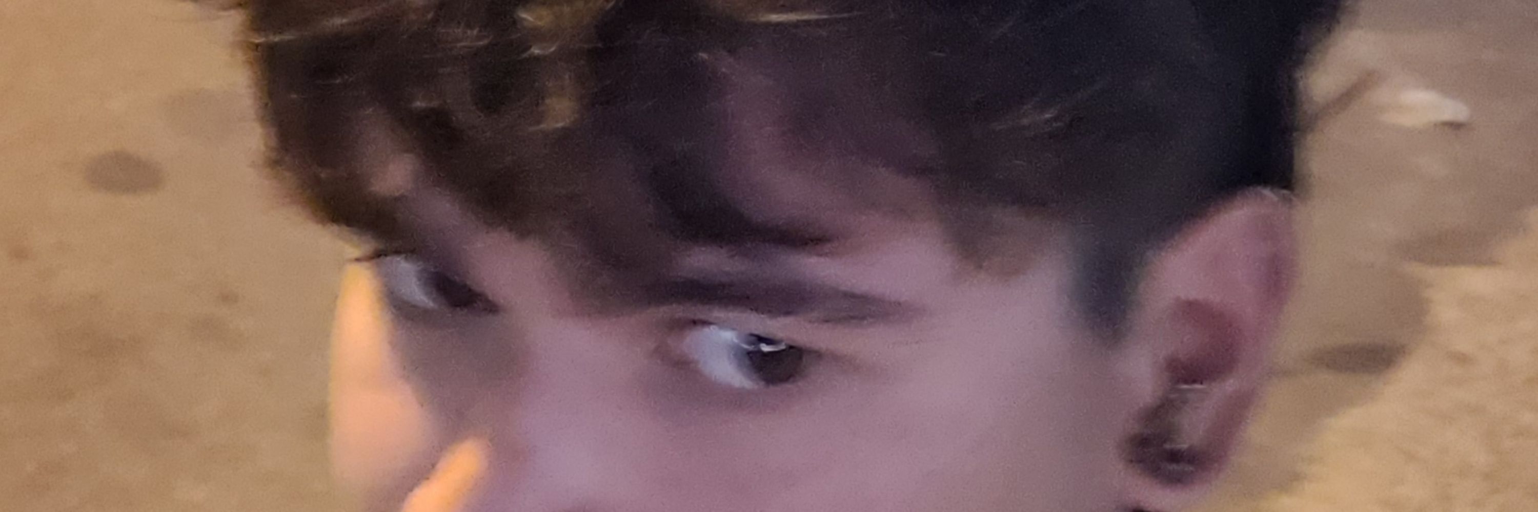 D.G.b.G.h.S