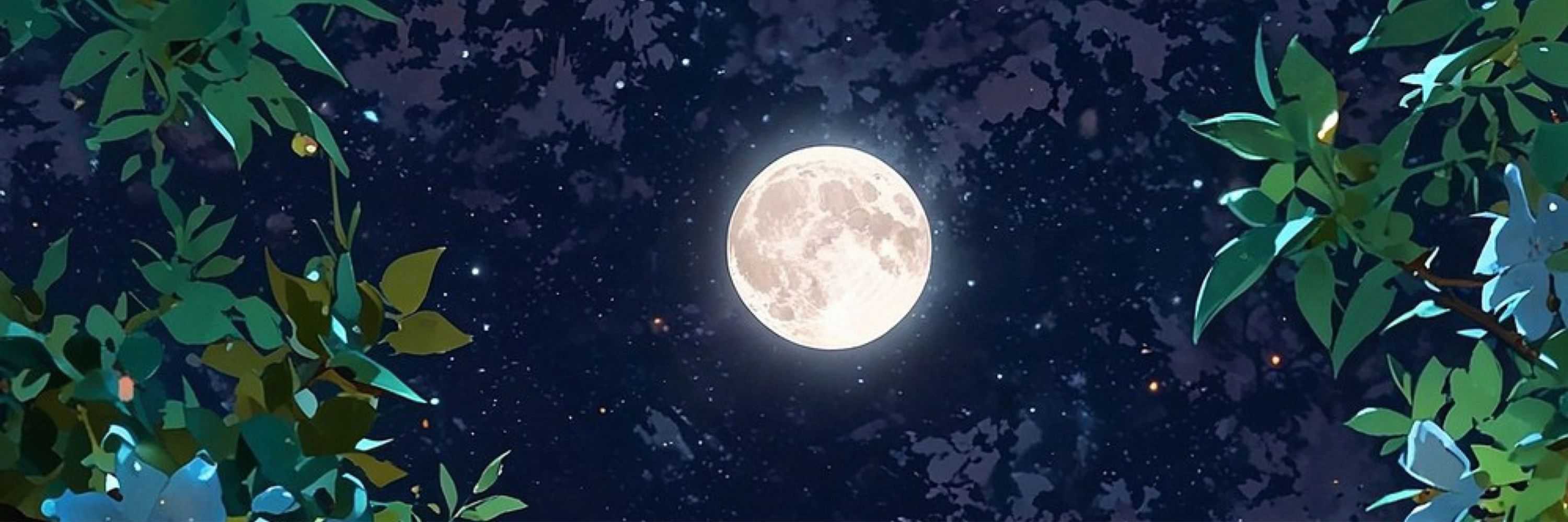 xiaoyang_000