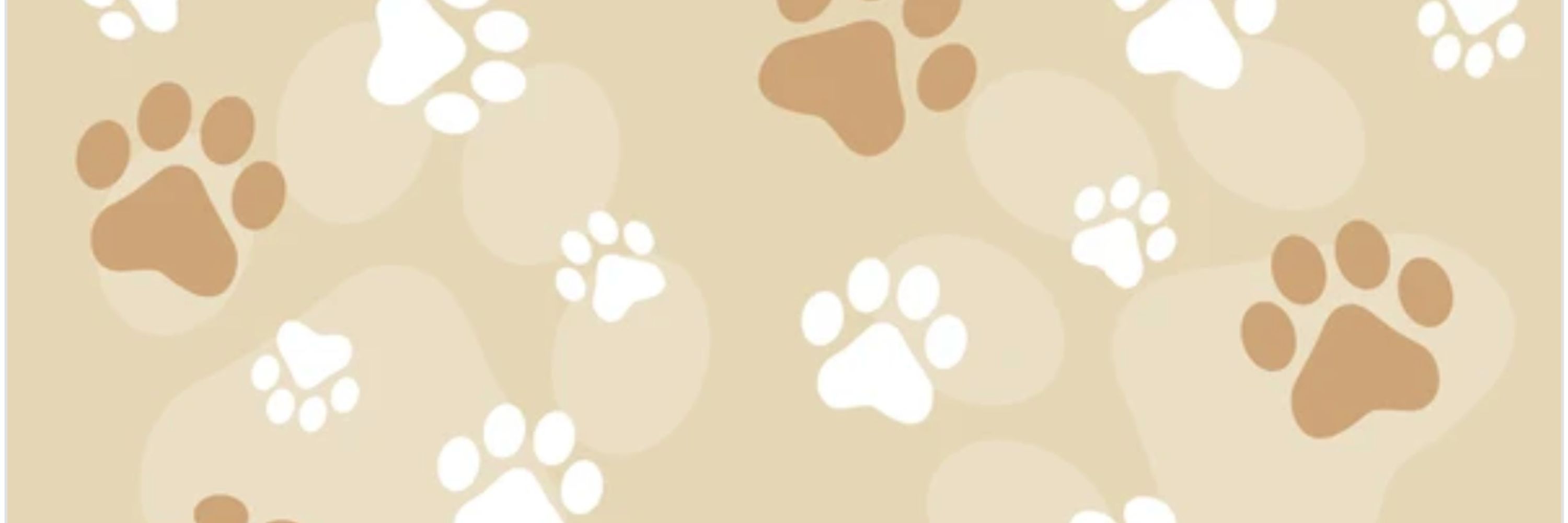 🐾 Puppy Bear 🐾