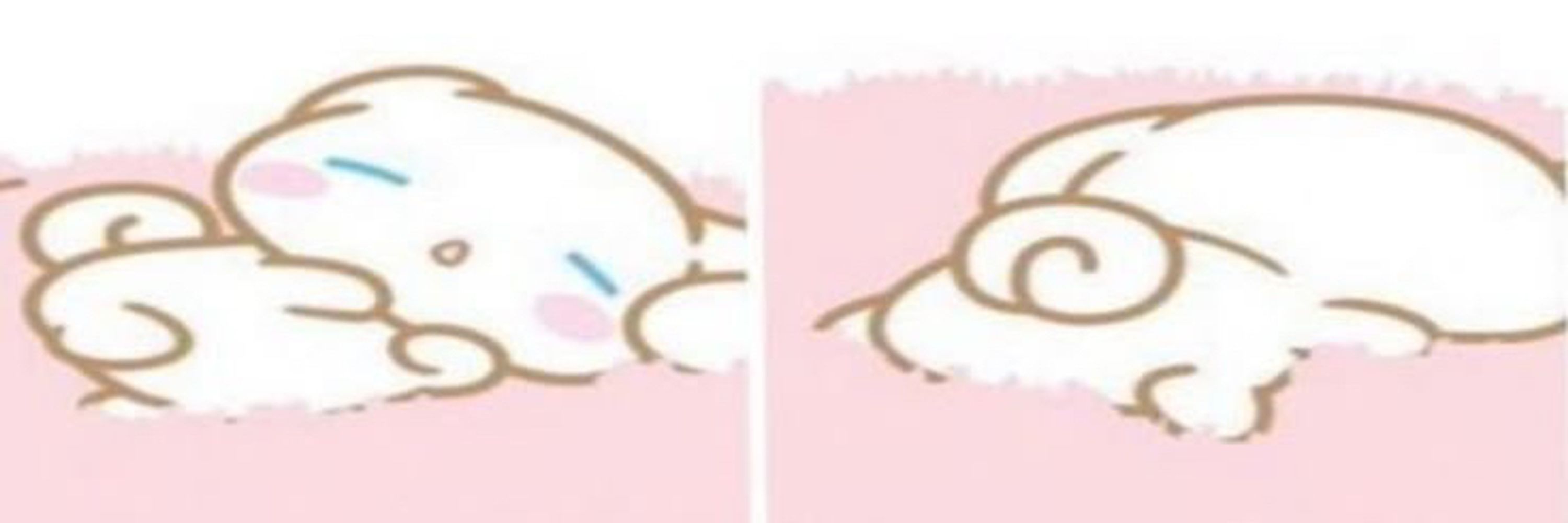 🎀 cj