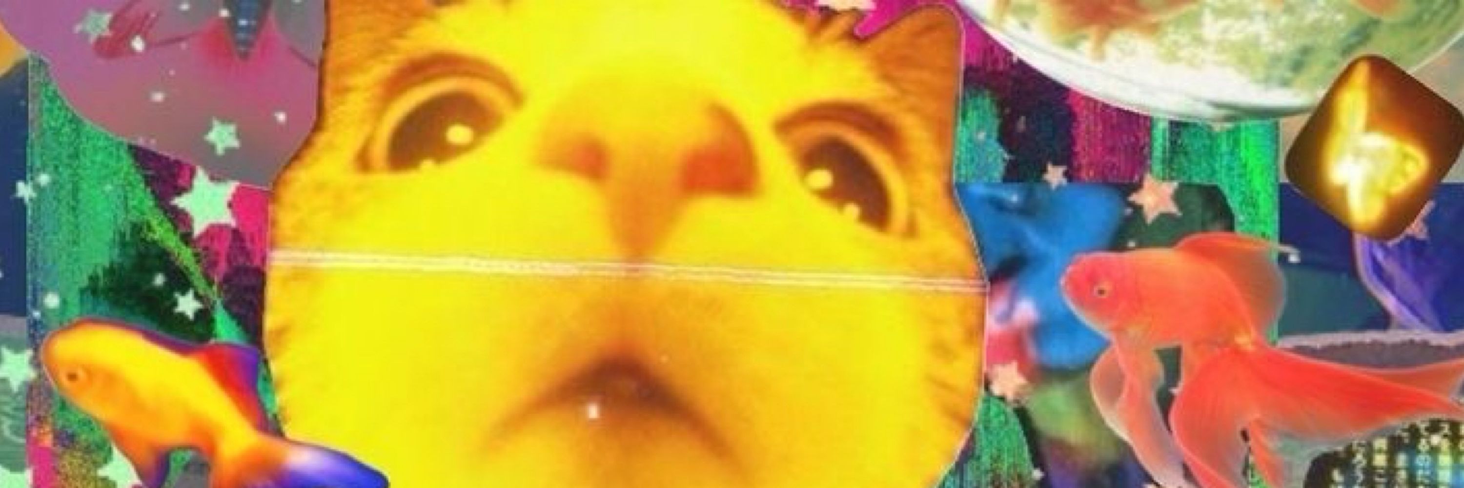 gozaedorme