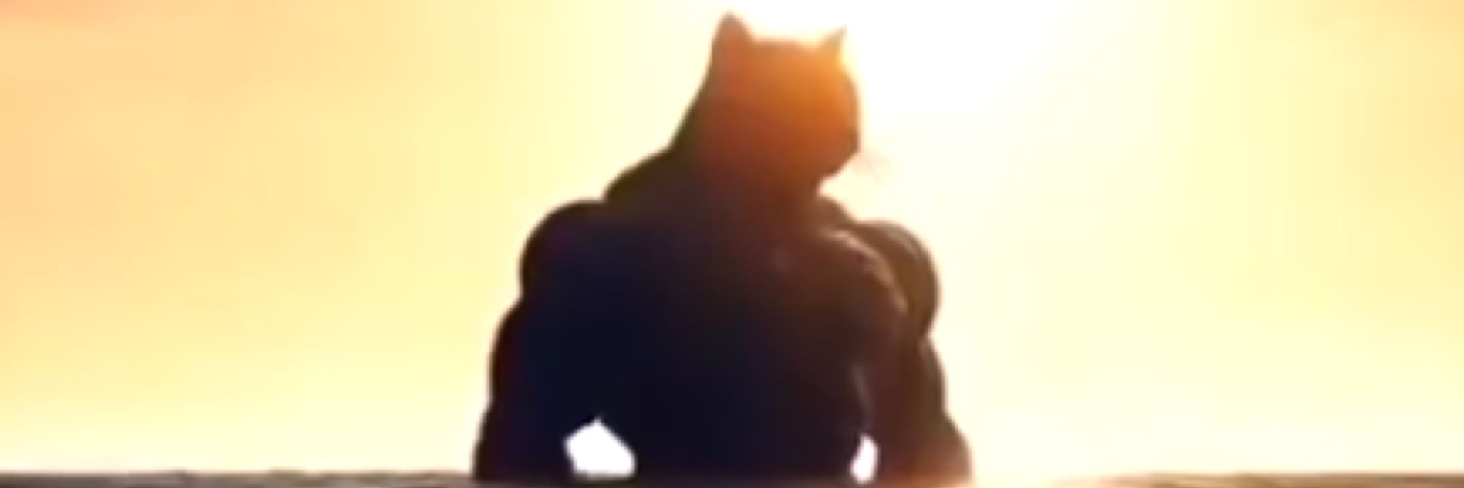 :3