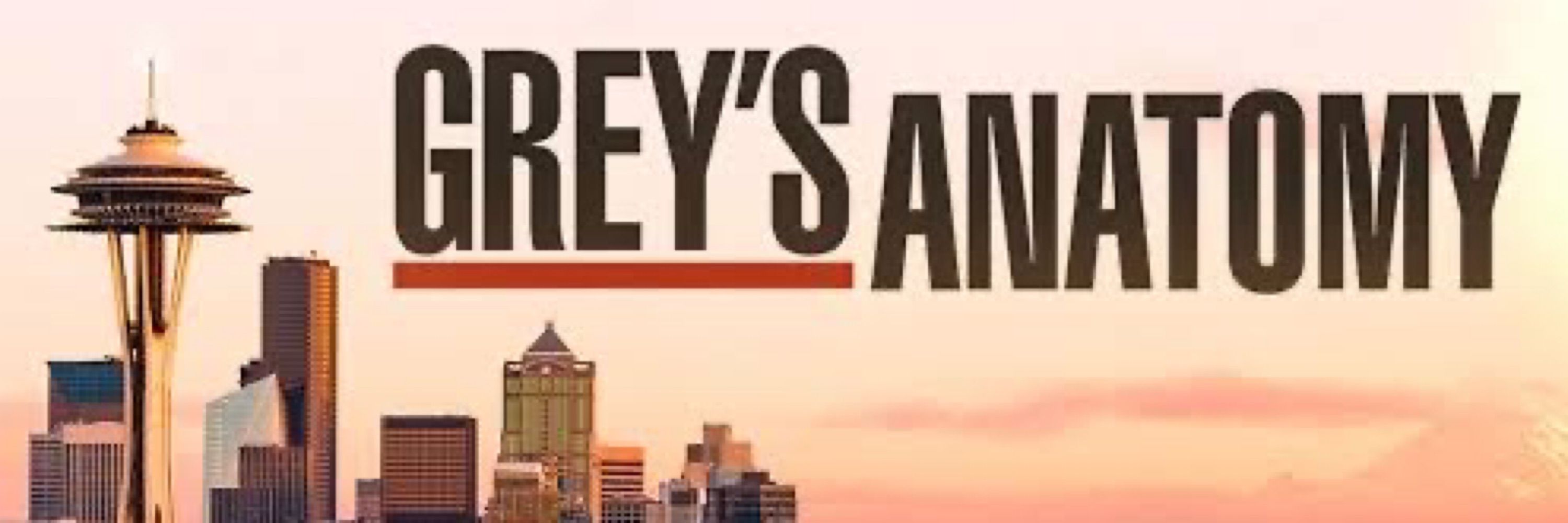 greys anatomy