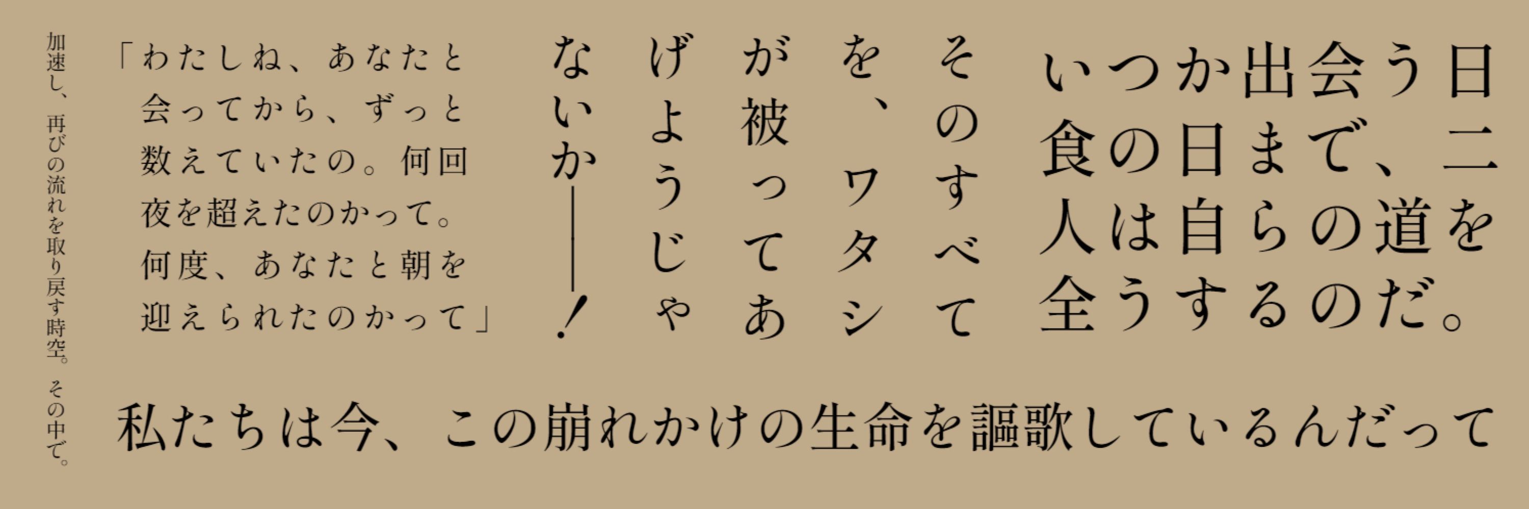 祷馬