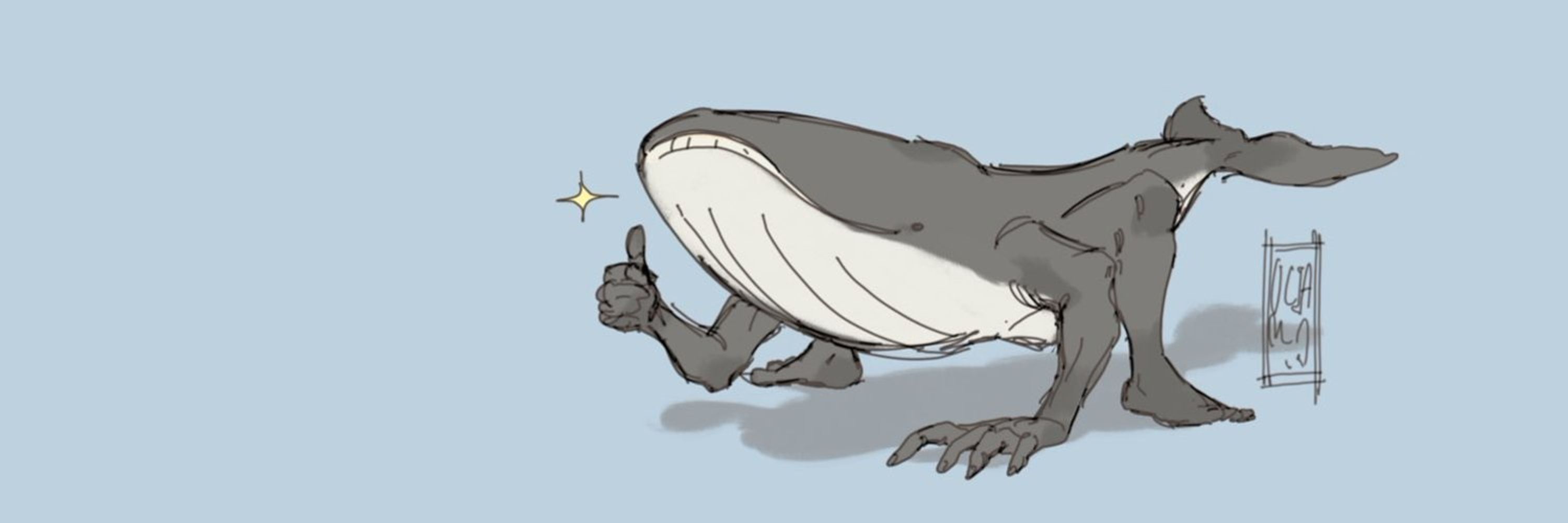 🐳 i like whales