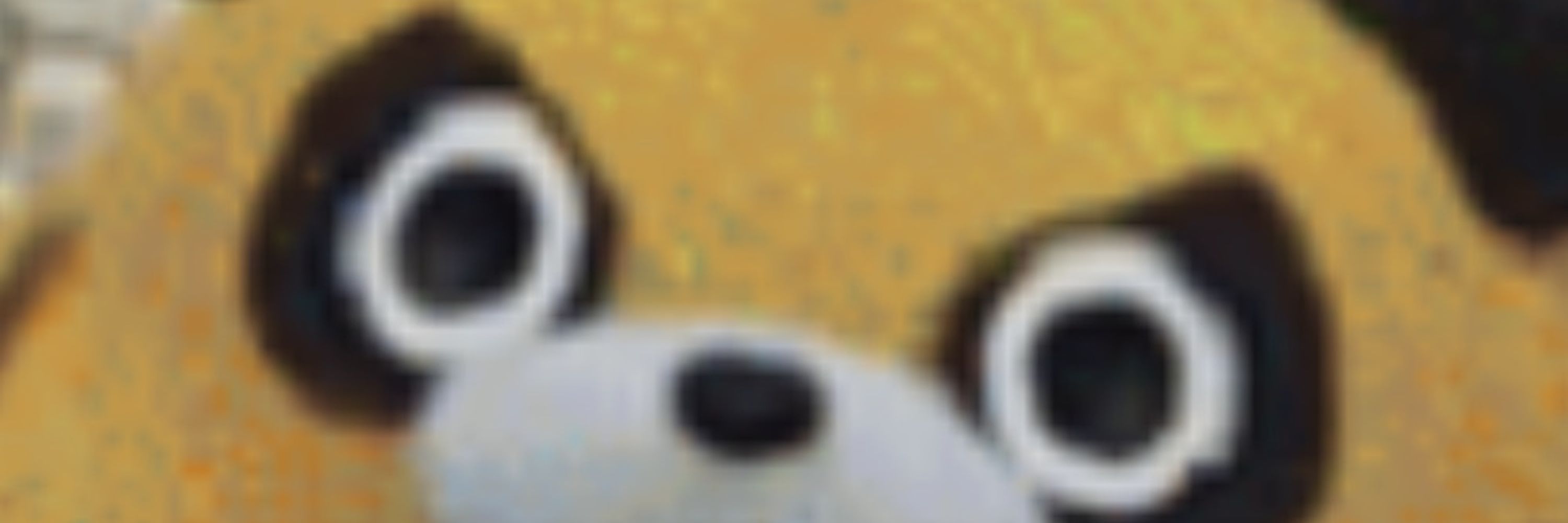 SeeBeeSee