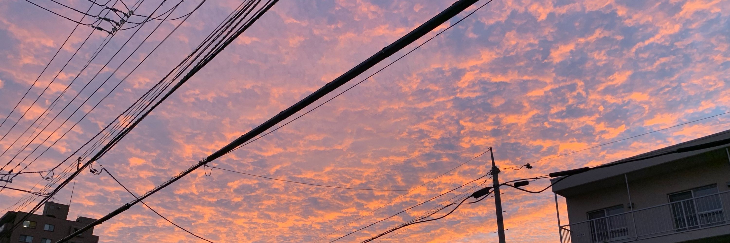 M-C◇日常