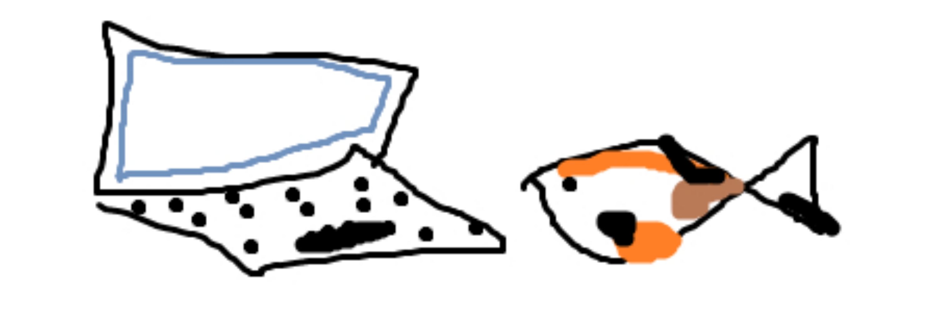 Koi