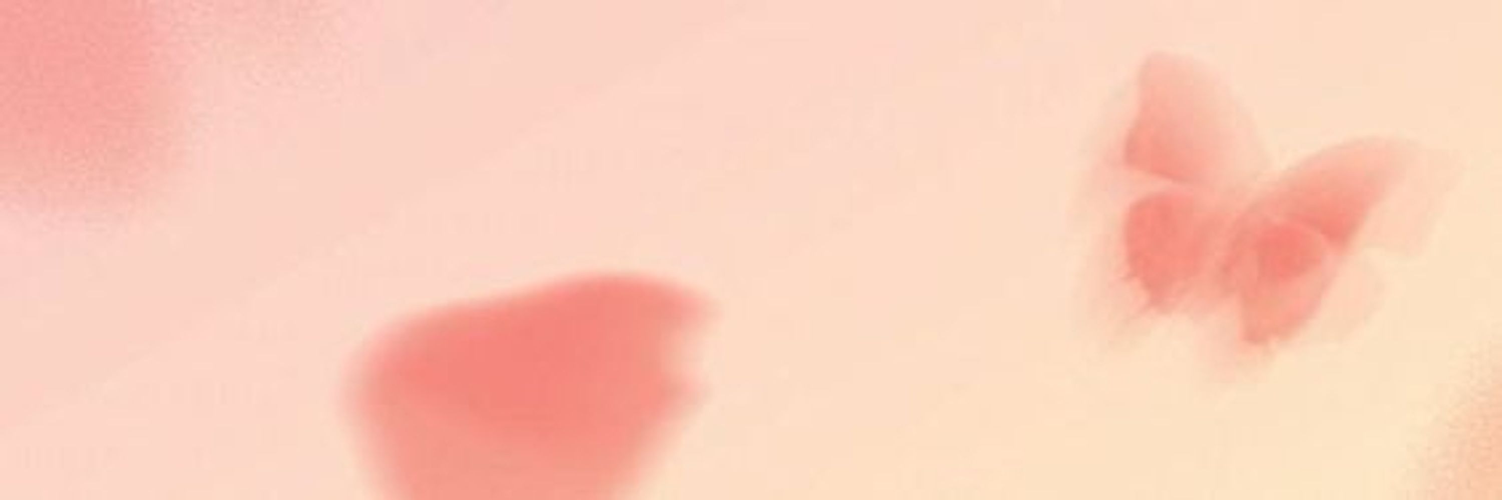 ✧･*. LETTI 