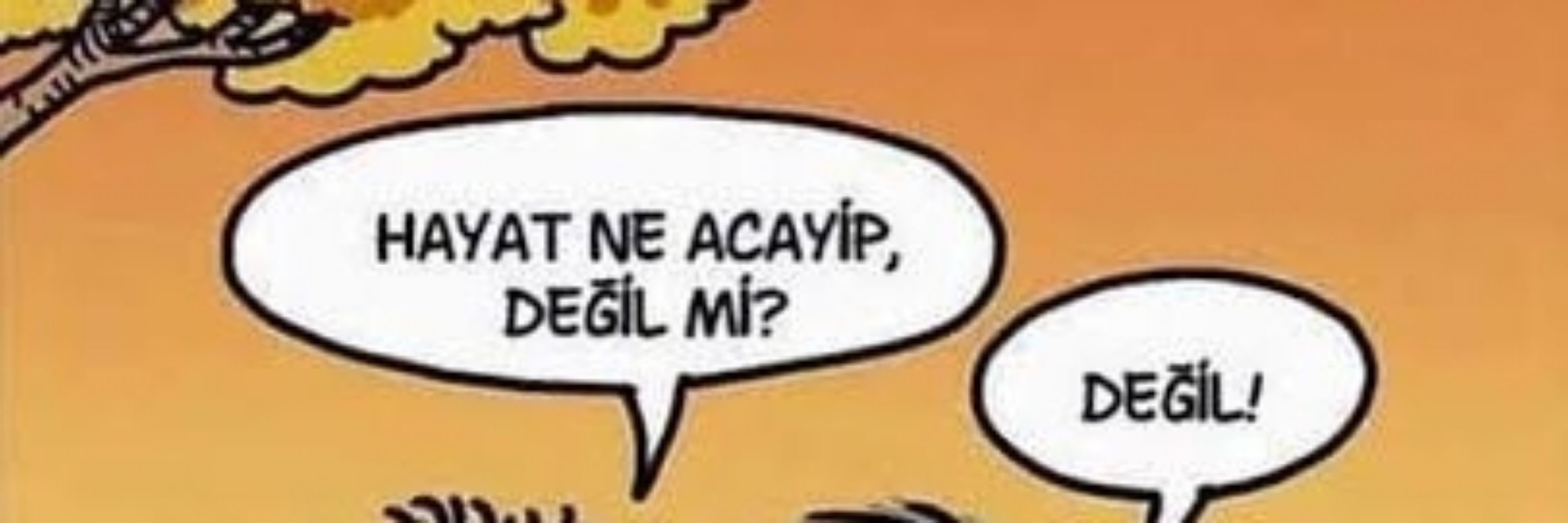 Elif #Çapulcu