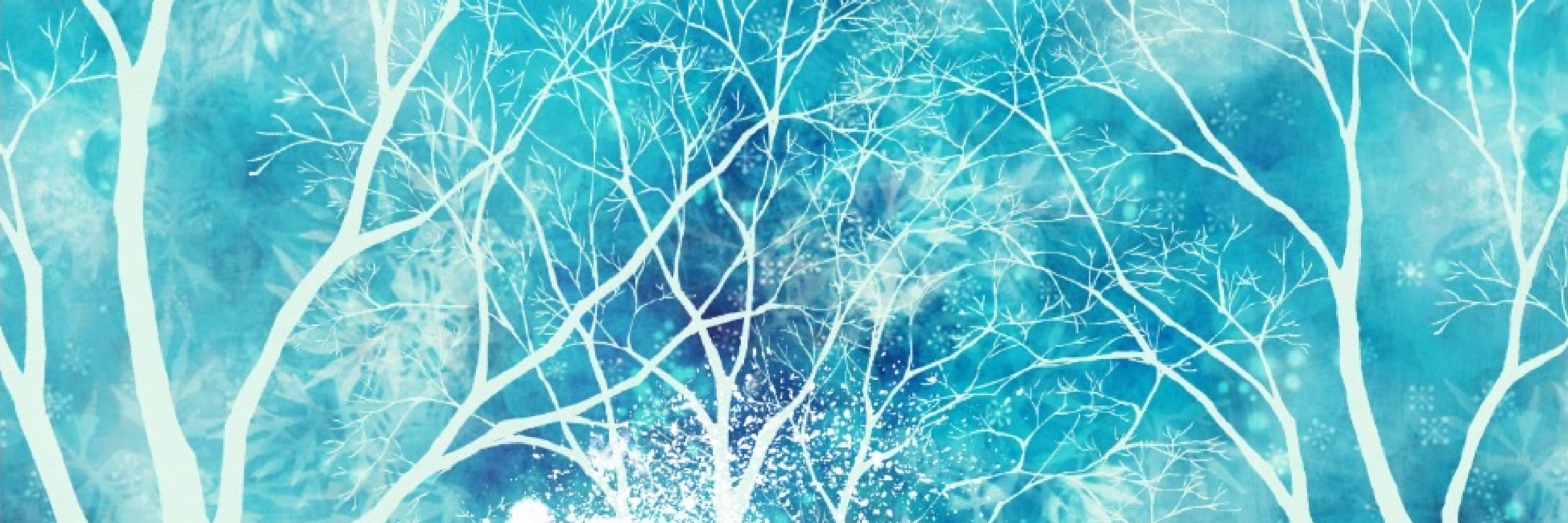みー/u-circuit