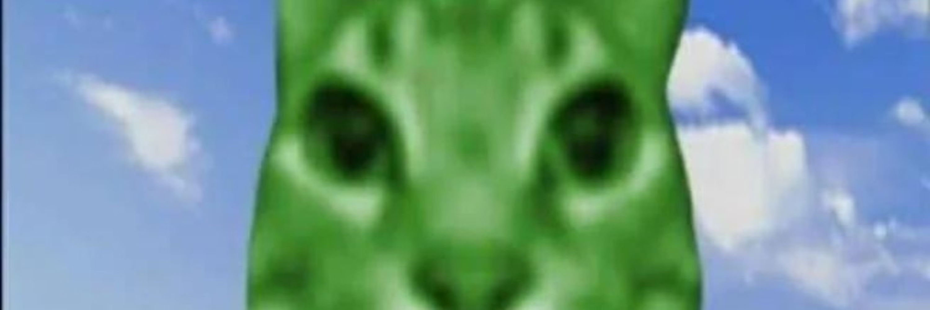 Bumbobaggins